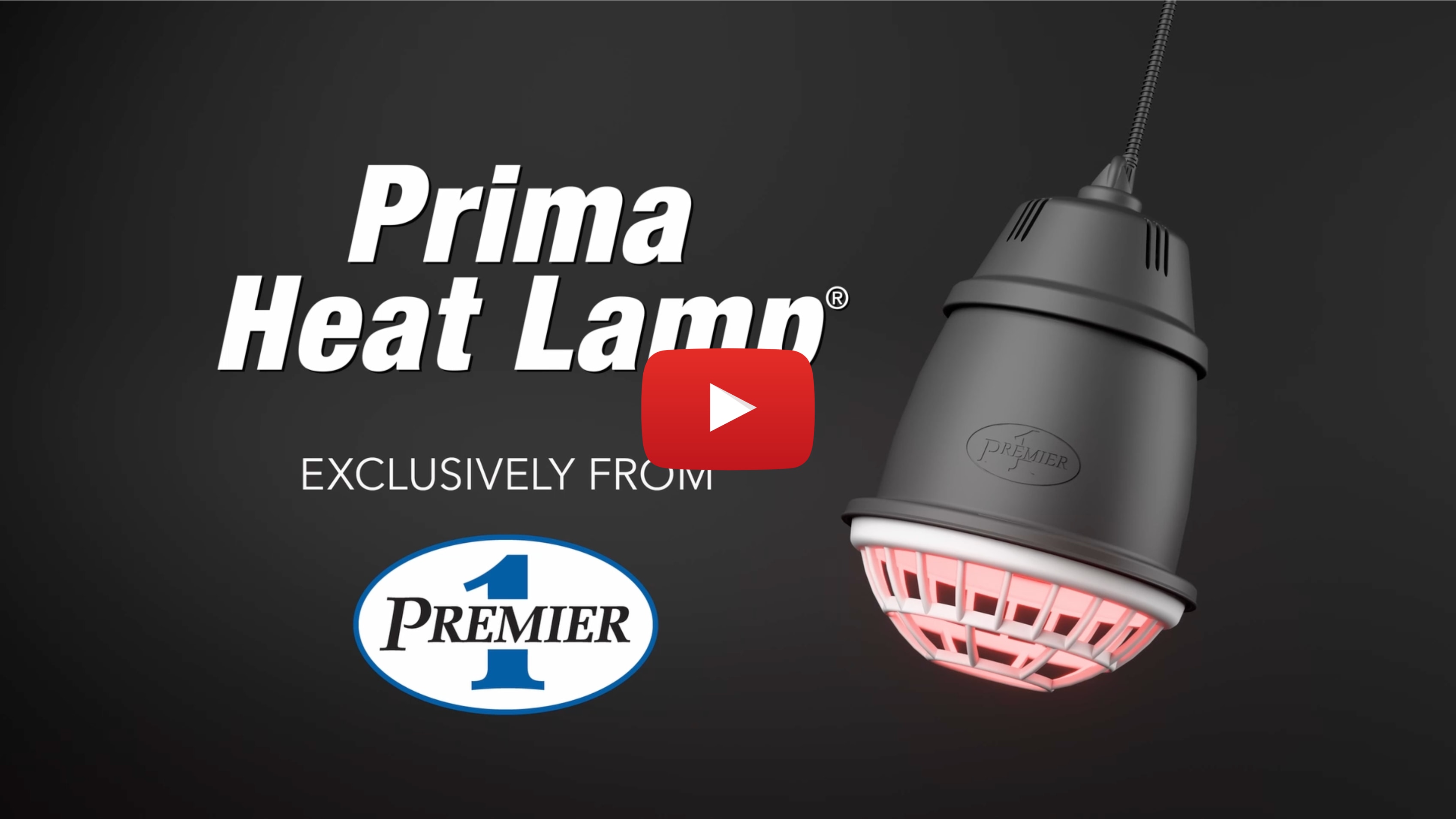 Prima Heat Lamp with Safety “Kill” Switch